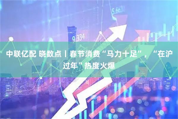 中联亿配 晓数点丨春节消费“马力十足”，“在沪过年”热度火爆