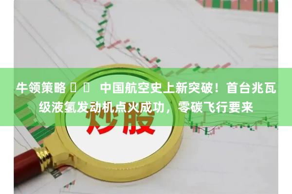 牛领策略 ⚛️ 中国航空史上新突破！首台兆瓦级液氢发动机点火成功，零碳飞行要来