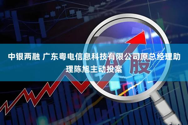 中银两融 广东粤电信息科技有限公司原总经理助理陈旭主动投案