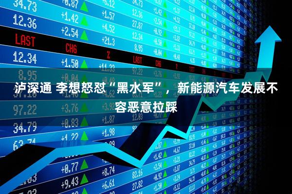 泸深通 李想怒怼“黑水军”，新能源汽车发展不容恶意拉踩