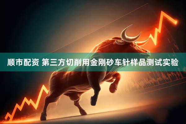 顺市配资 第三方切削用金刚砂车针样品测试实验